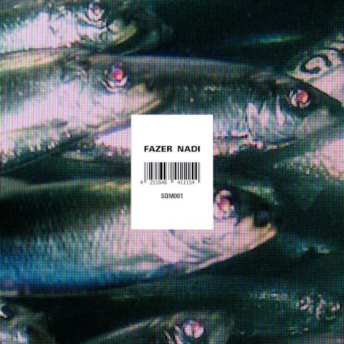 ミュージシャン NADI maxresdefault.jpg