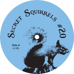 SECRET SQUIRRELS / #20