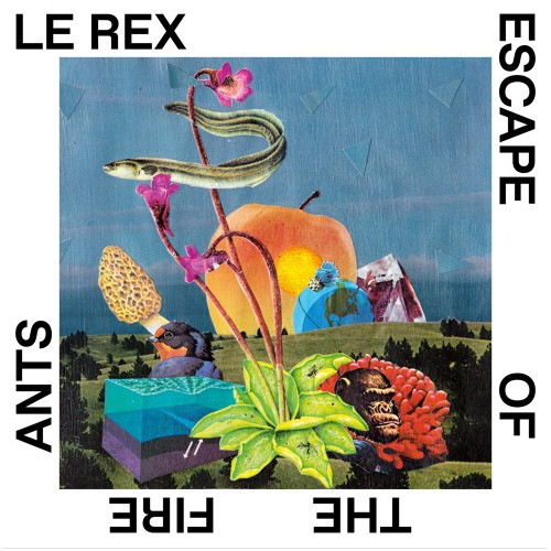 LE LEX / Escape Of The Fire Ants