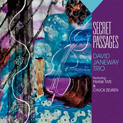 DAVID JANEWAY / デヴィッド・ジェーンウェイ / Secret Passages
