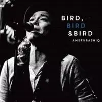 雨ふらしカルテット / BIRD BIRD & BIRD