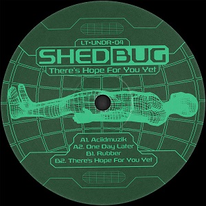 SHEDBUG / THERE'S HOPE FOR YOU YET