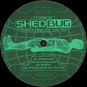 SHEDBUG / THERE'S HOPE FOR YOU YET