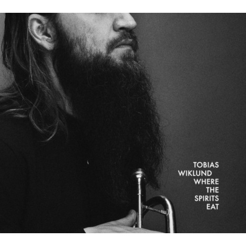TOBIAS WIKLUND / トビアス・ヴィークルンド / Where The Spirits Eat(LP)