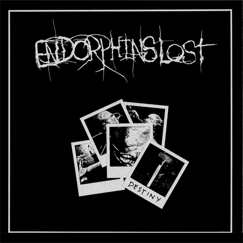 ENDORPHINS LOST / SECLUSIONS (LP/SCENE SUPPORT VERSION) 