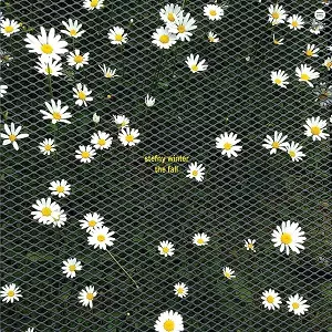 STEFNY WINTER / FALL