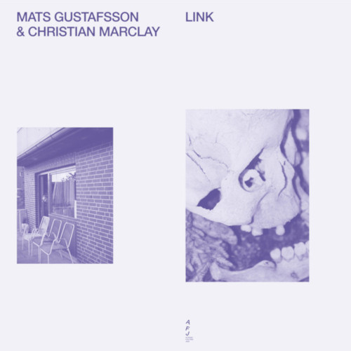 MATS GUSTAFSSON & CHRISTIAN MARCLAY / マッツ・グスタフソン&クリスチャン・マークレイ / Link(LP)