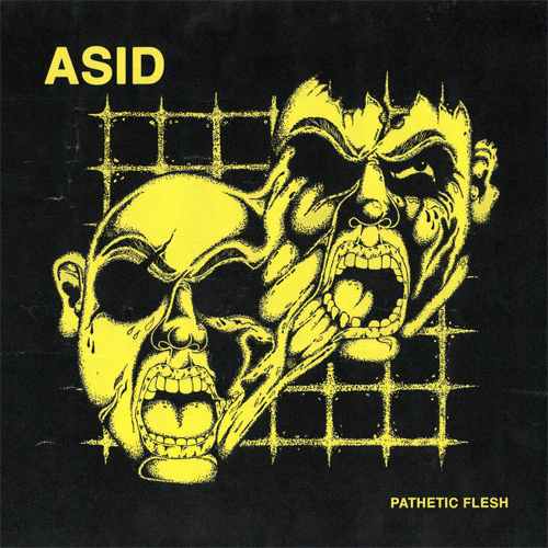 ASID / PATHETIC FLESH (LP)