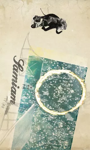 SAMIAM / サマイアム / TRIPS (CASSETTE)