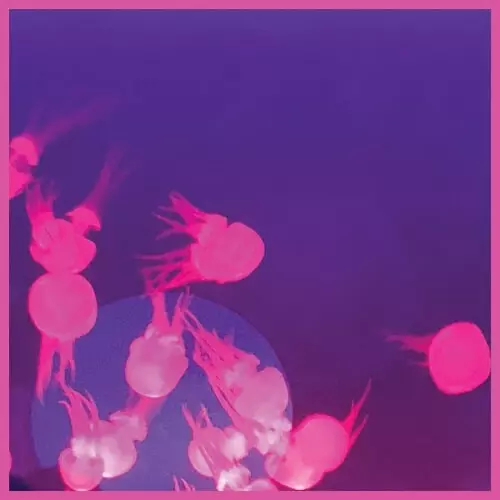 MALL GRAB & NITE FLEIT / MOOGIE EP
