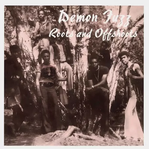 Demon Fuzz Afreaka! レコード デーモン・ファズ アフレアカ DEMON FUZZ / Afreaka! (LP) / Janus | WAXPEND RECORDS