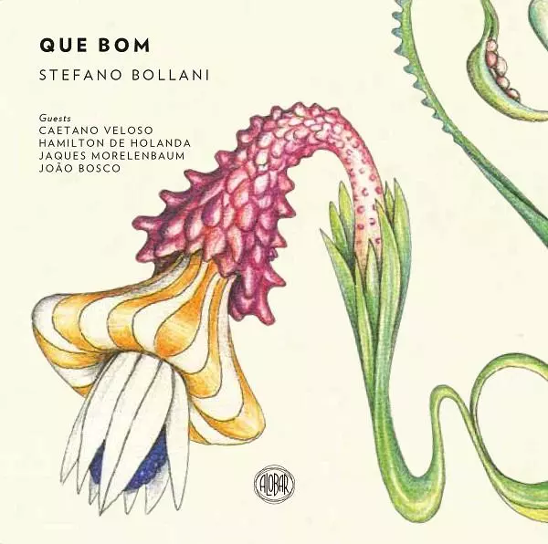 STEFANO BOLLANI / ステファノ・ボラーニ / QUE BOM