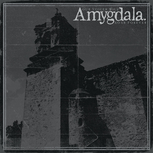 AMYGDALA (PUNK) / OUR VOICES WILL SOAR FOREVER
