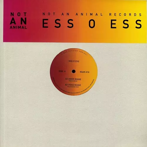 ESS O ESS / VOICE INSIDE (BACKWOODS REMIX)