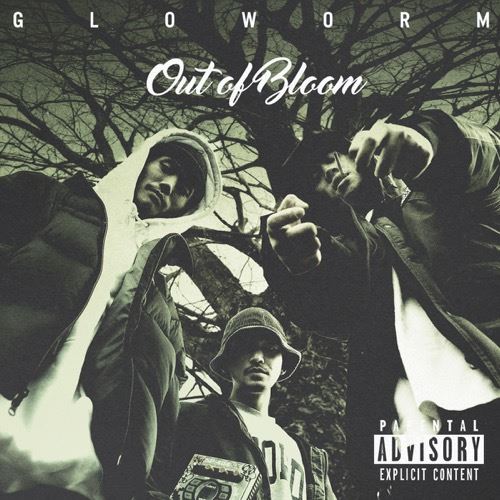 GLOWORM / Out of Bloom