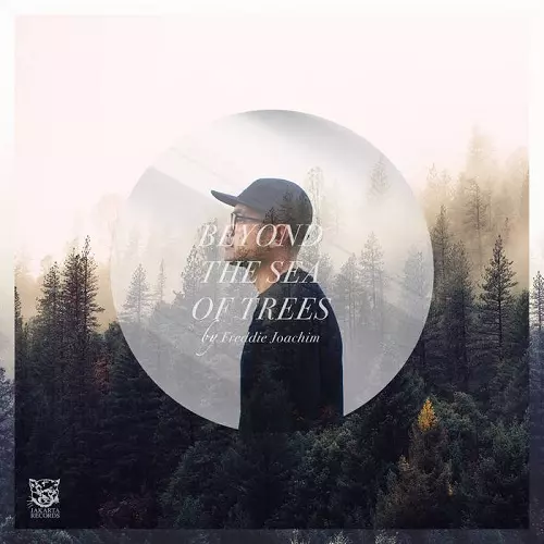 FREDDIE JOACHIM / フレディ・ヨアキム / BEYOND THE SEA OF TREES "2LP"