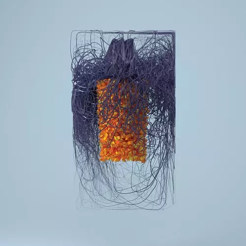 PLAID / プラッド / POLYMER (LP)