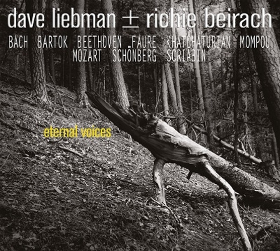 DAVE LIEBMAN (DAVID LIEBMAN) / デイヴ・リーブマン / Eternal Voices