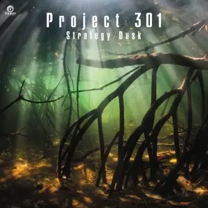 PROJECT 301 / STRATEGY / DUSK