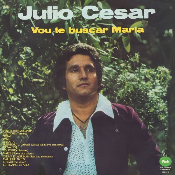 JULIO CESAR (BRAZIL) / ジュリオ・セザール / VOU TE BUSCAR, MARIA