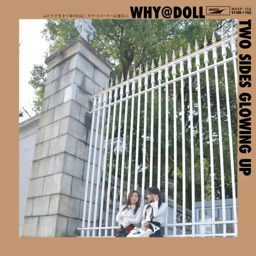 WHY@DOLL商品一覧｜PUNK｜ディスクユニオン・オンラインショップ