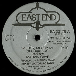 MARVIN GAYE / マーヴィン・ゲイ / MERCY,MERCY ME (12")