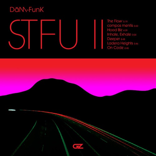 DAM-FUNK / デイム・ファンク / STFU II "LP"