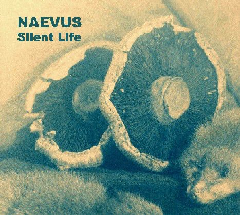 NAEVUS / SILENT LIFE