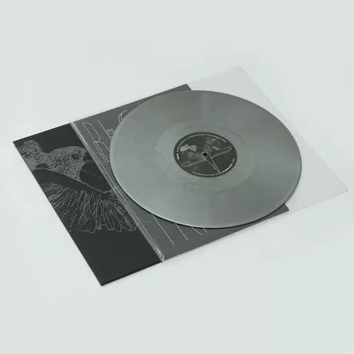 VERTICE (MAURIZIO BIANCHI, SAVERIO EVANGELISTA, JUAN MANUEL CIDRON) / DECAY MUSIC N. 1: BESOCH TRAUMA