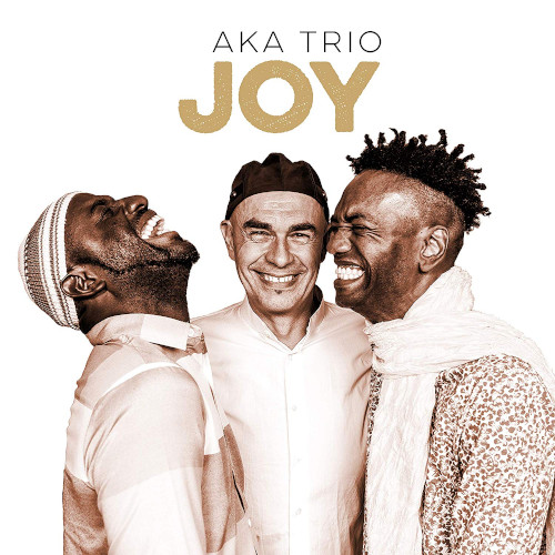 AKA TRIO / Joy