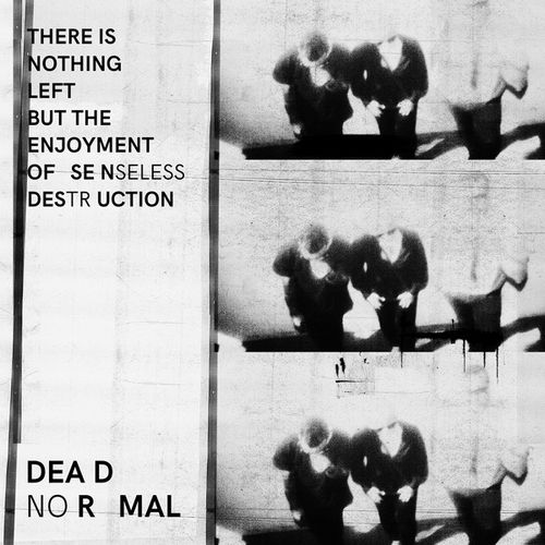DEAD NORMAL / THERE IS NOTHING LEFT BUT THE ENJOYMENT OF SENSELESS DESTRUCTION