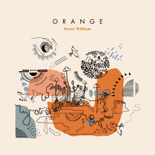 SALE品質保証sweet william orange レコード　アナログ 邦楽