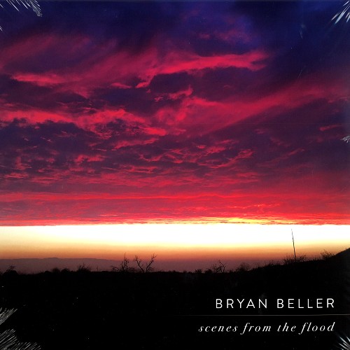 BRYAN BELLER / ブライアン・ベラー / SCENES FROM THE FLOOD - 180g LIMITED VINYL