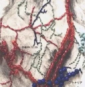 プラナリア / 呼吸00:12:35