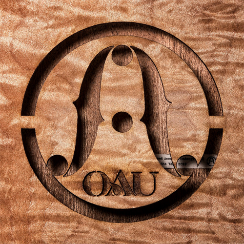 OAU (OVERGROUND ACOSTIC UNDERGROUND) / OAU(限定生産盤/LP)