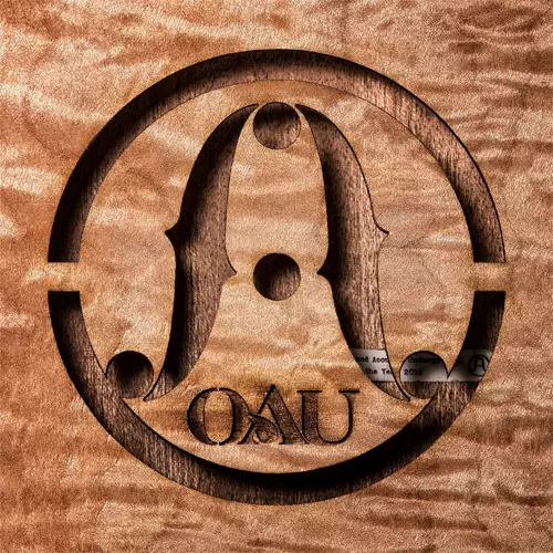 OAU LPレコード OAU(限定生産盤/LP)/OAU (OVERGROUND ACOSTIC UNDERGROUND