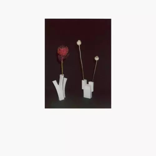 FELICIA ATKINSON / フェリシア・アトキンソン / THE FLOWER AND THE VESSEL (CD)