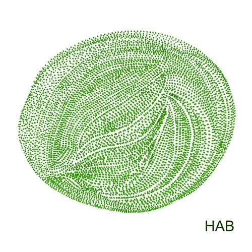 HAB (WORLD) / HAB / HAB