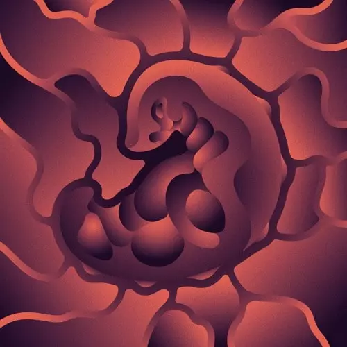 FOREST DRIVE WEST / THEY LIVE EP