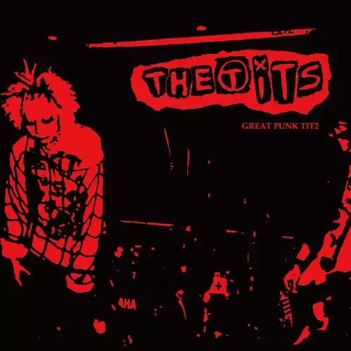 The tits 悦楽患者+狂乱危胸 未開封LP2枚セット THE TITS (JPN/PUNK)商品一覧｜OLD ROCK｜ディスクユニオン