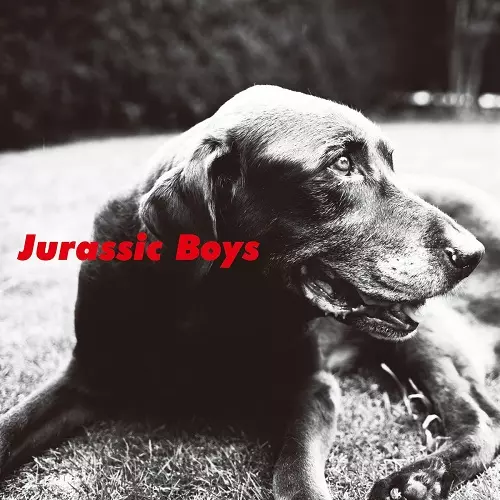 Jurassic Boys商品一覧｜ROCK / POPS / INDIE｜ディスクユニオン