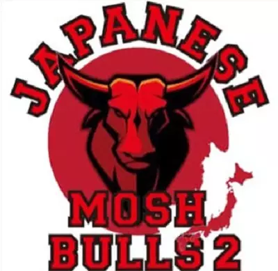 V.A. (JAPANESE MOSHBULLS) / JAPANESE MOSHBULLS 2