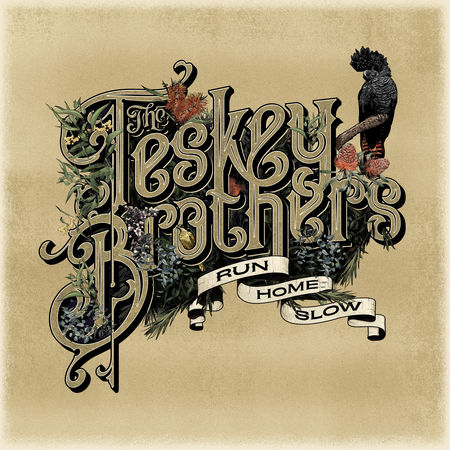 TESKEY BROTHERS / テスキー・ブラザーズ / RUN HOME SLOW(LP)