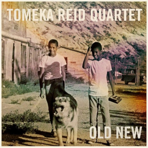 TOMEKA REID / トメカ・リード / Old New