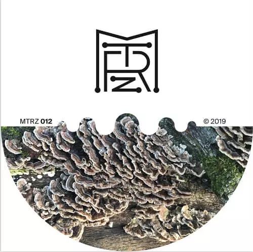 ION LUDWIG / BETTER FUTURE TO LONG EP (VINYL ONLY/180G)
