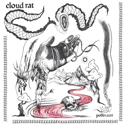 CLOUD RAT / POLLINATOR (LP)