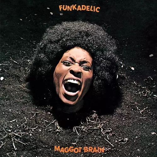 FUNKADELIC / ファンカデリック / MAGGOT BRAIN(TURQUOISE VINYL)
