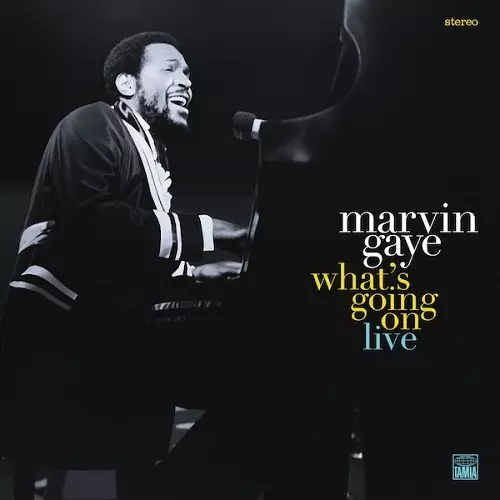 WHAT'S GOING ON LIVE(2LP)/MARVIN GAYE/マーヴィン・ゲイ｜SOUL/BLUES
