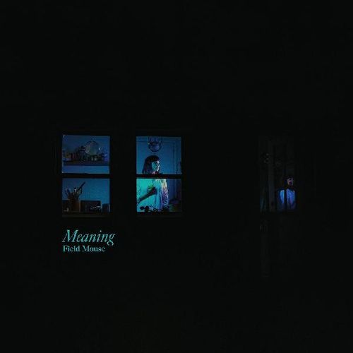 FIELD MOUSE / フィールド・マウス / MEANING (CD)
