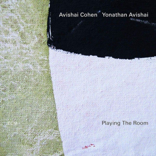 AVISHAI COHEN (TRUMPET) / アヴィシャイ・コーエン / Playing The Room(LP)